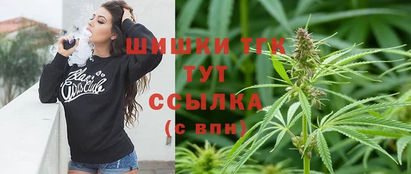 тгк Алзамай
