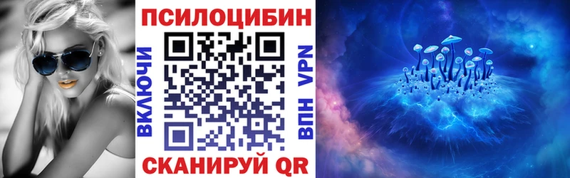 ссылка на мегу как зайти  цены   Нижнеудинск  Псилоцибиновые грибы мухоморы 